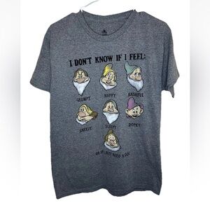 Disney Unisex Crew Neck Snow White Seven Dwarfs Gray Short Sleeve Size M EUC